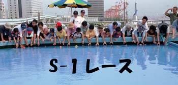 S-1[X