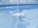 appeal16