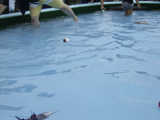 free_16