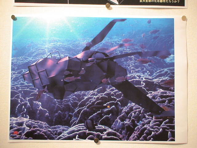onc05