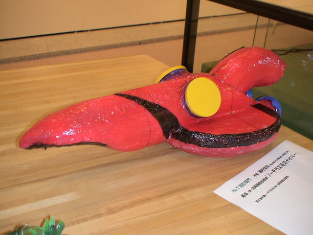 onc19